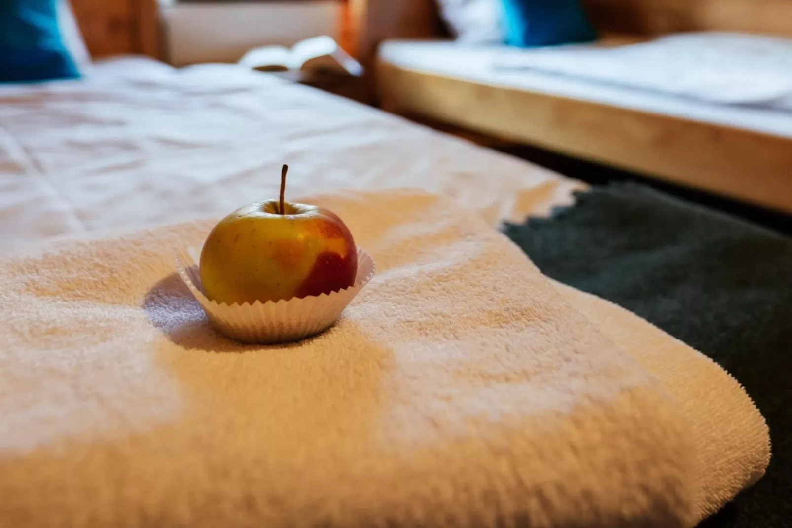 Dom przy drodze Skansen dla 8 osób Bełczna-Ambiente