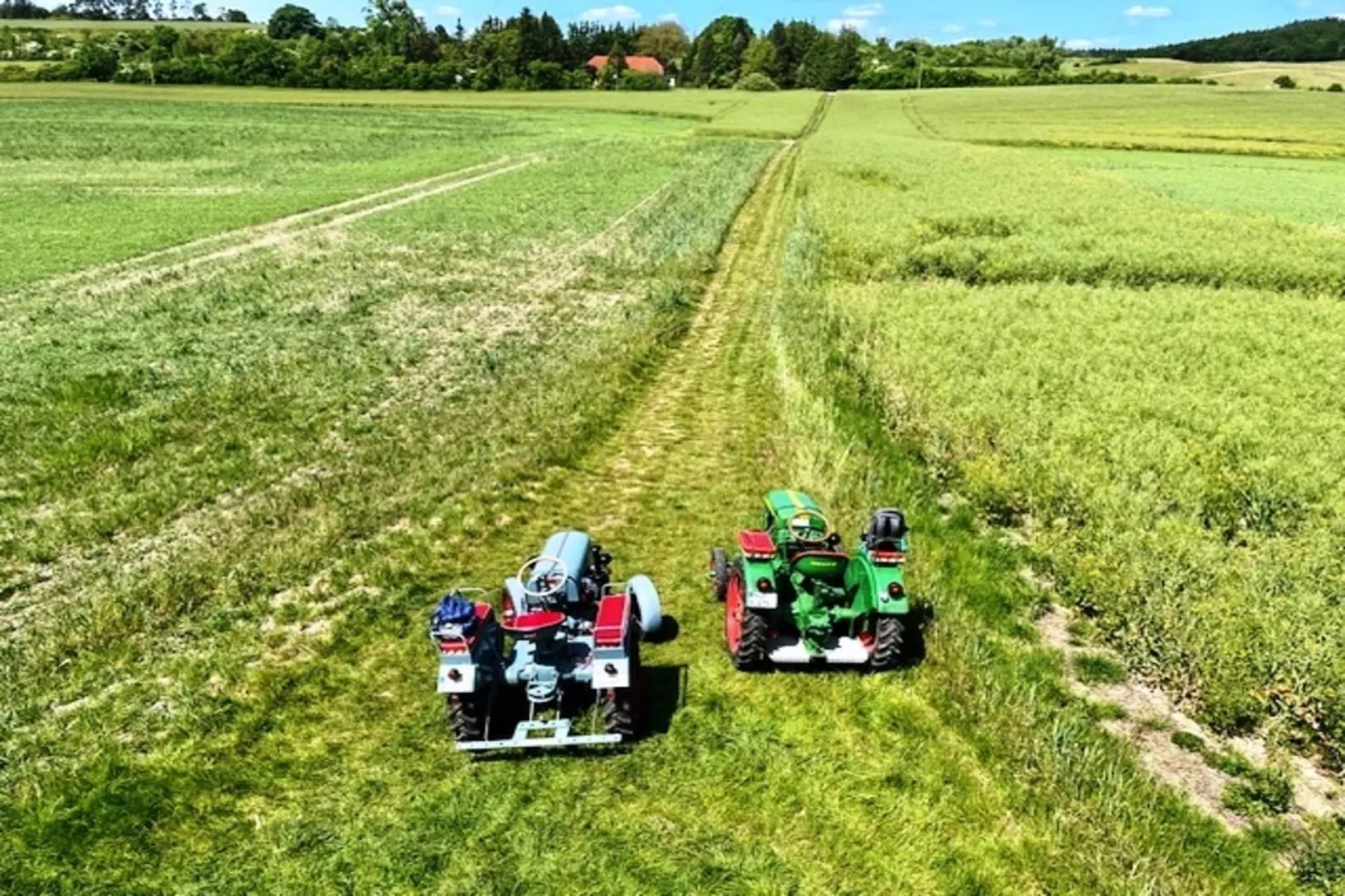 Fewo Gielow-Gebiete Sommer 5 km