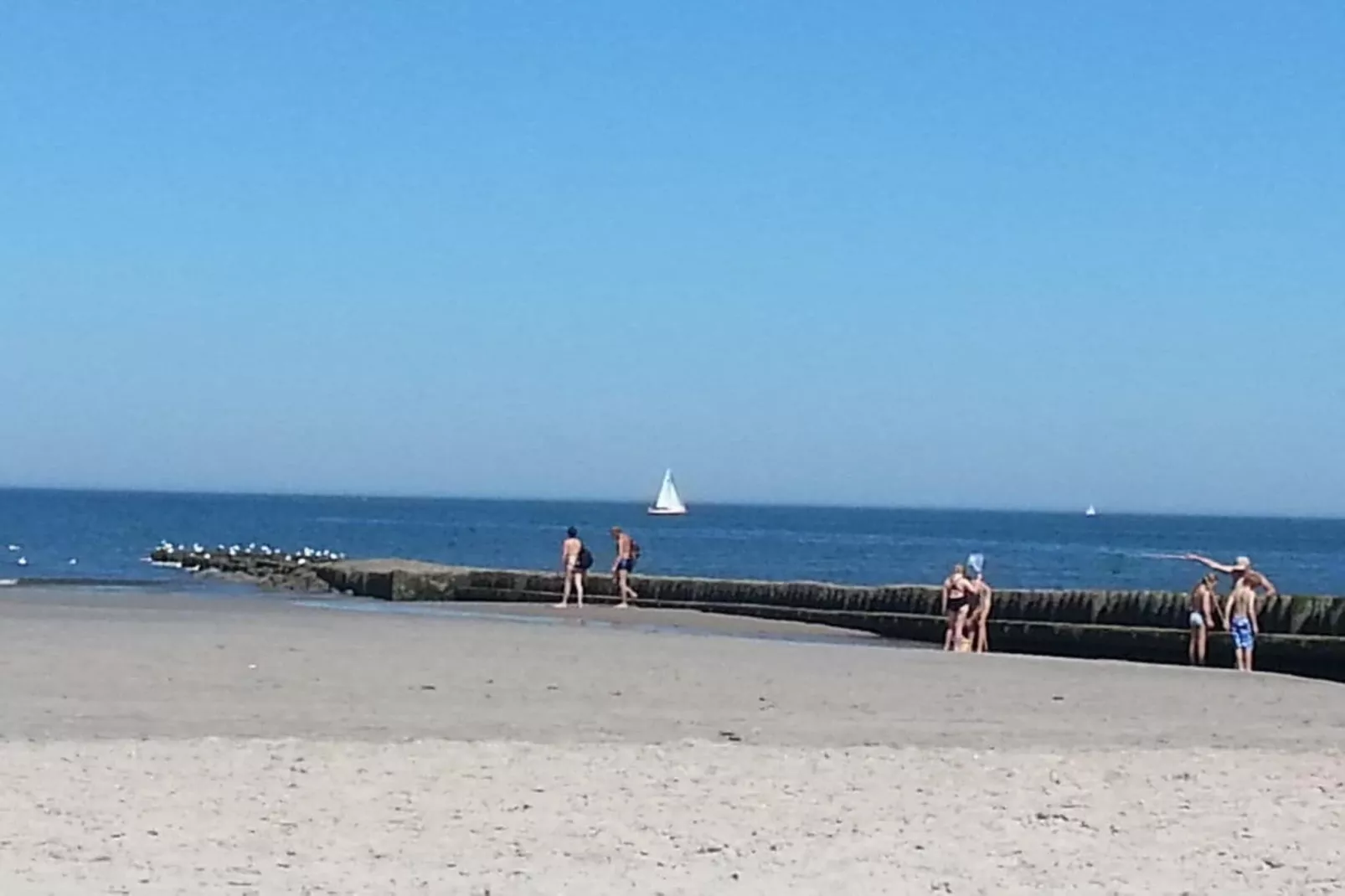 78297-Areas within 5km in summer