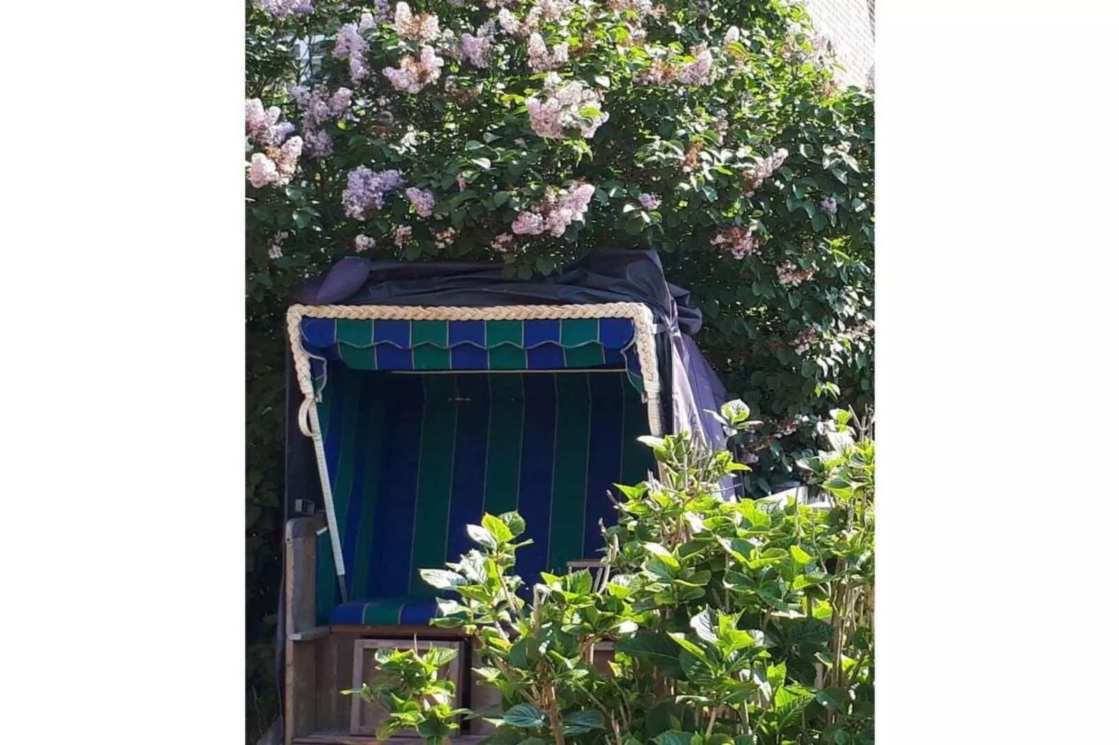 143116-Gardens in summer