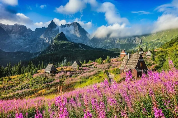 Dom wakacyjny TATRA WOOD HOUSE 1-Gebiete Sommer 5 km