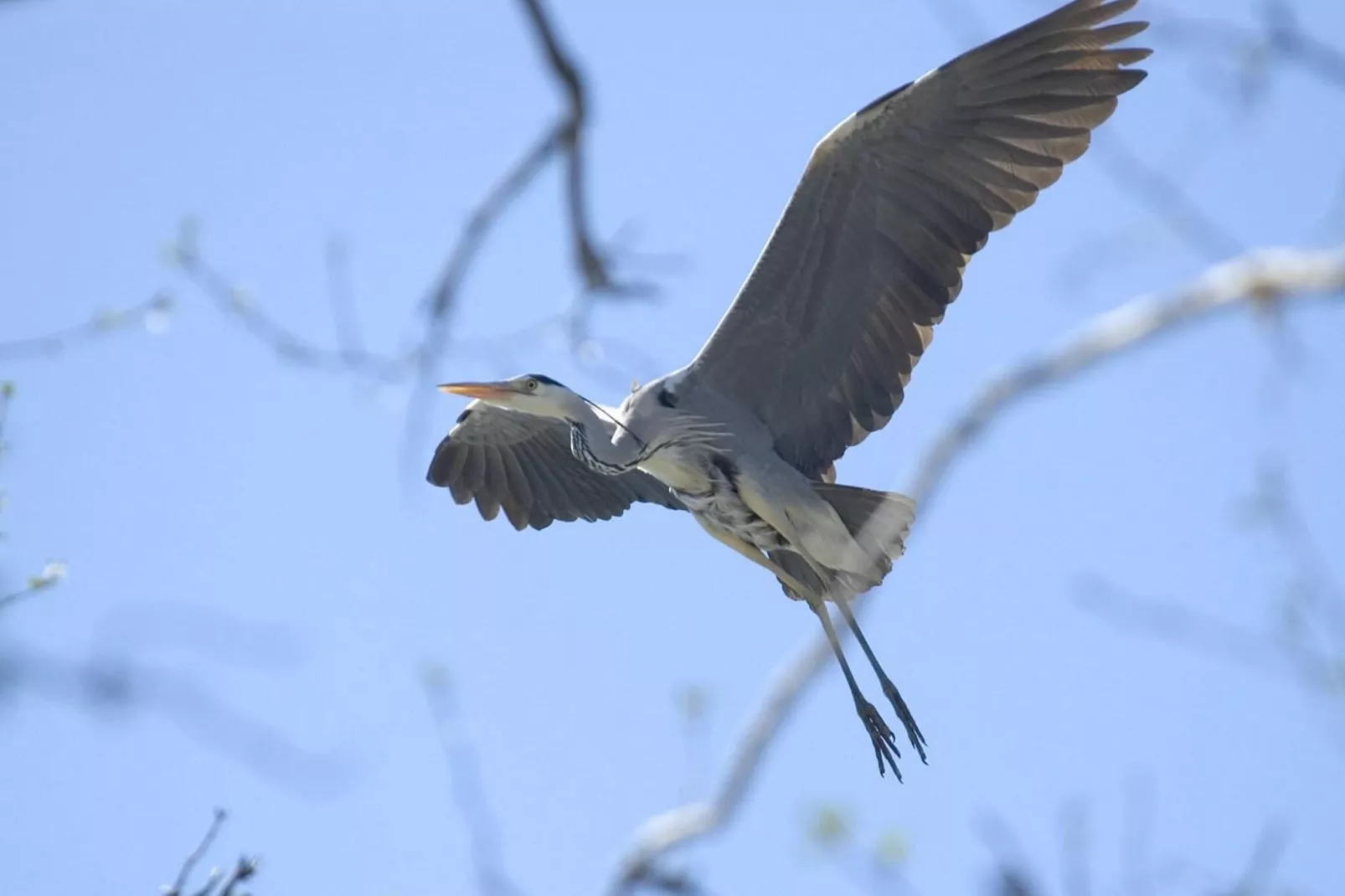 Apartments Rekowo 40 qm - Ambiance