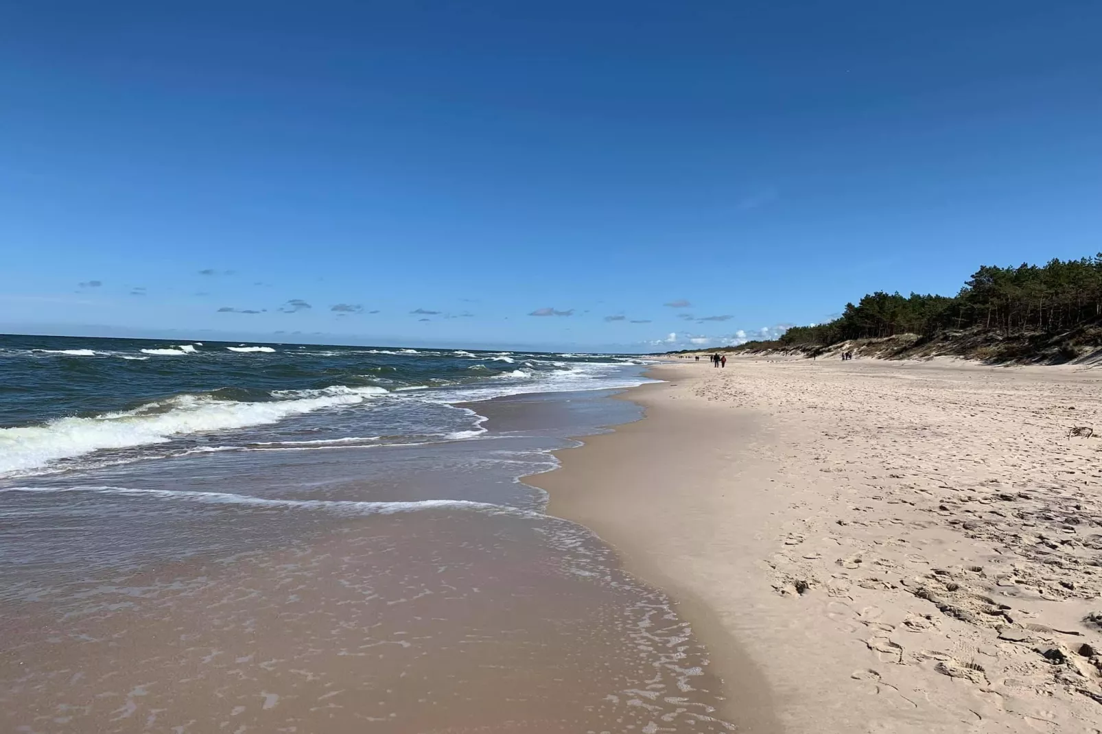 Domki wakacyjne JAROSZOWIEC domki 2-pokojowe Łazy - View