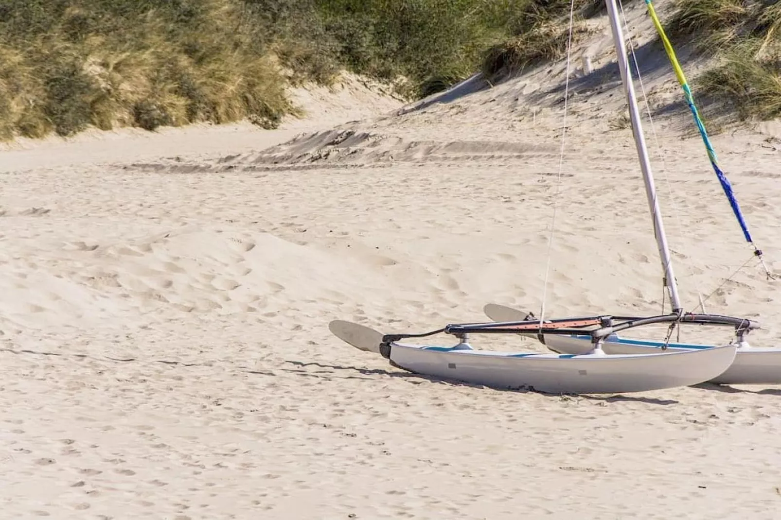 75893-Gebiete Sommer 5 km