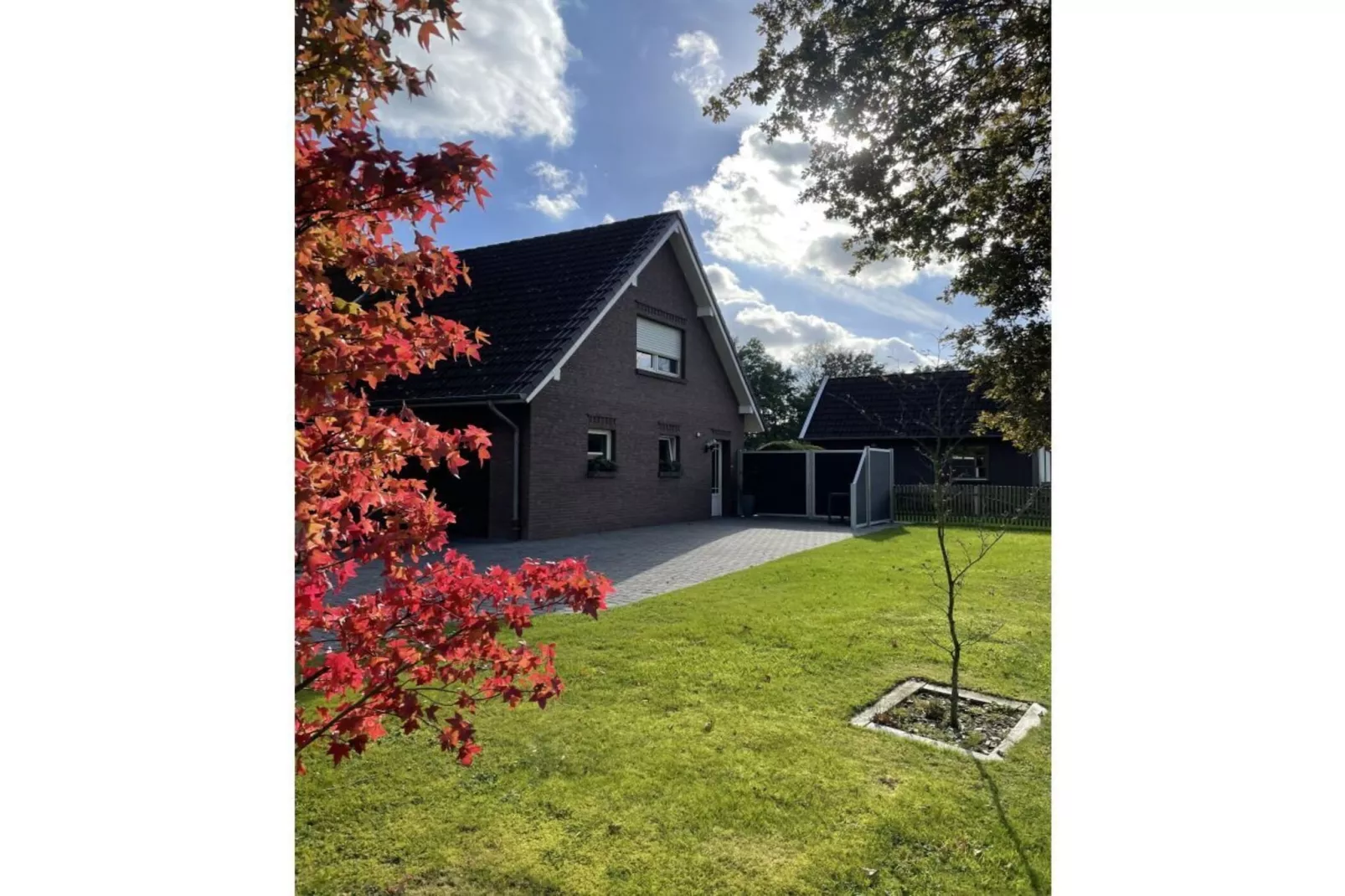 606052-Gardens in summer