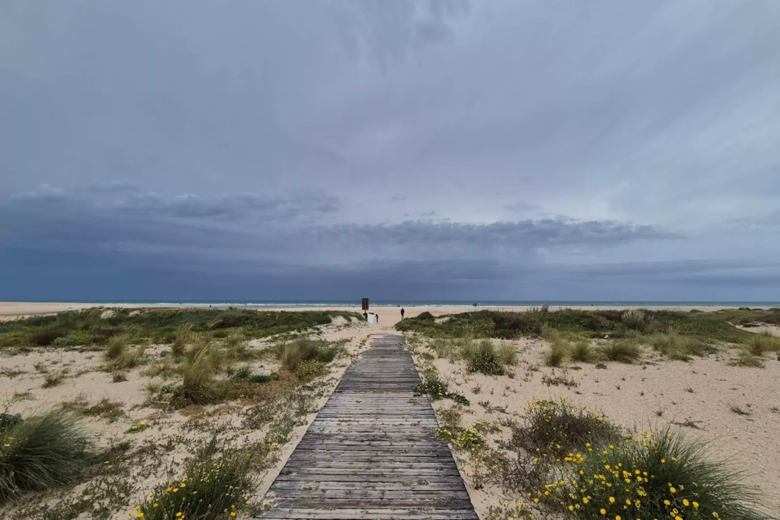 4946-+34692613337-Gebiete Sommer 5 km