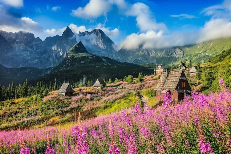 Dom wakacyjny TATRA WOOD HOUSE 3-Gebiete Sommer 5 km