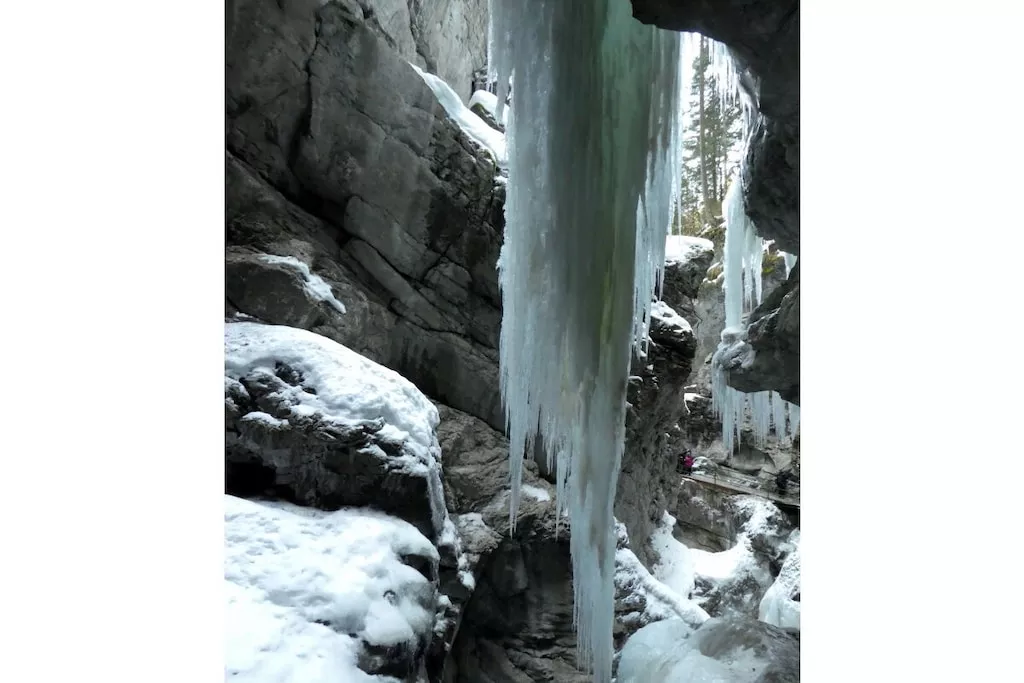 15559 - Nicht zugeordnet