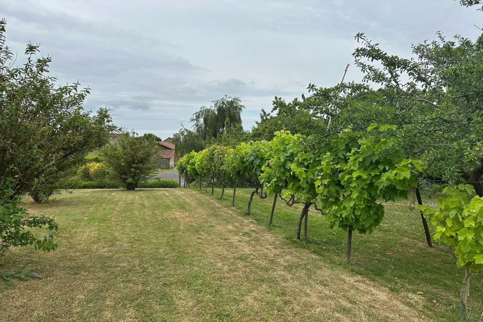 Val du Loire-Gebiete Sommer 1 km