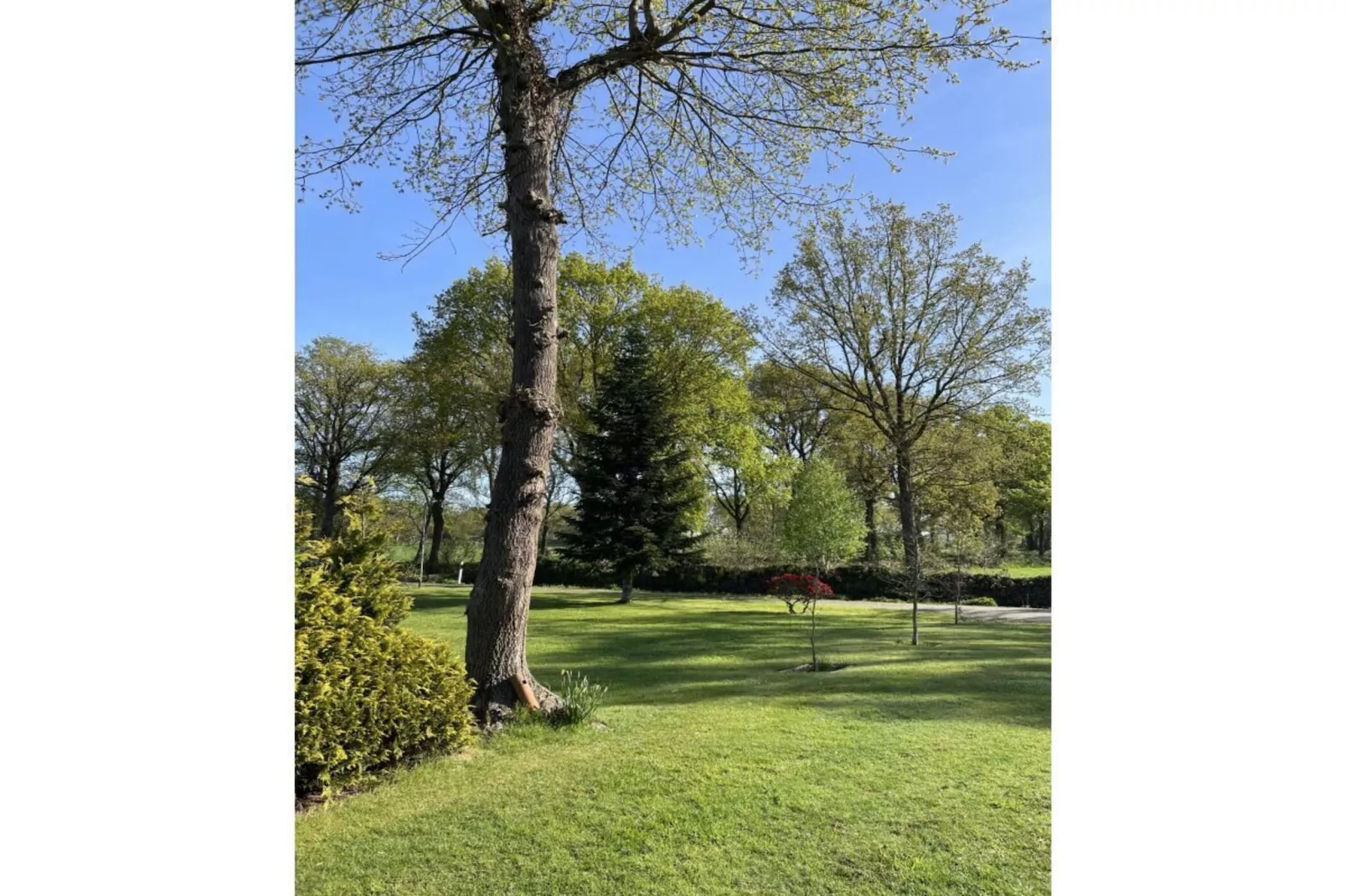 606052-Gardens in summer