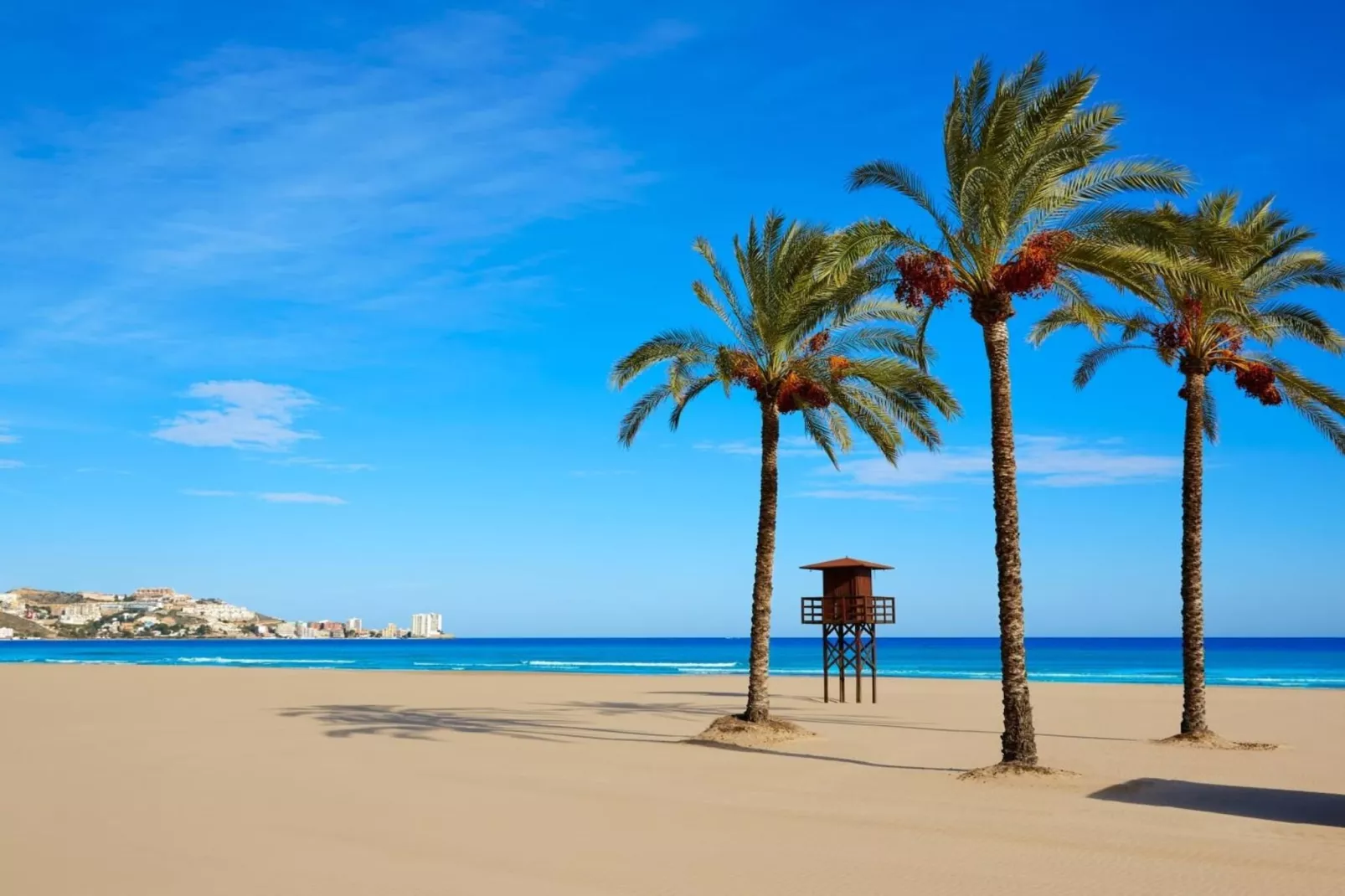 4685-+34618736920-Areas within 5km in summer