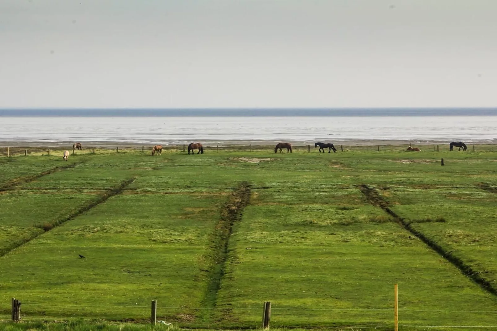 210744-Zones été à 5 km