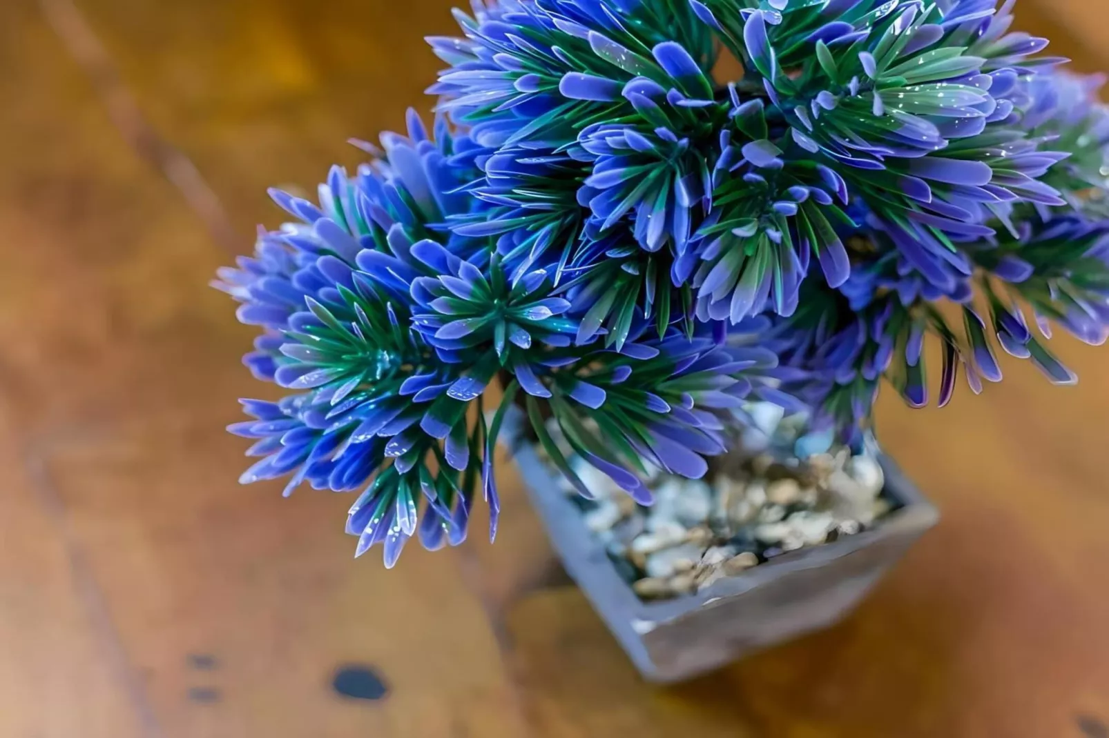 1265-+34618736920-Ambiente