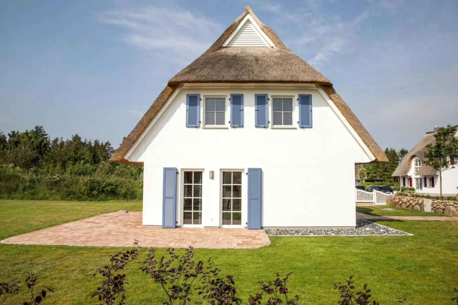 Schilfrohrsänger 43-Extérieur été