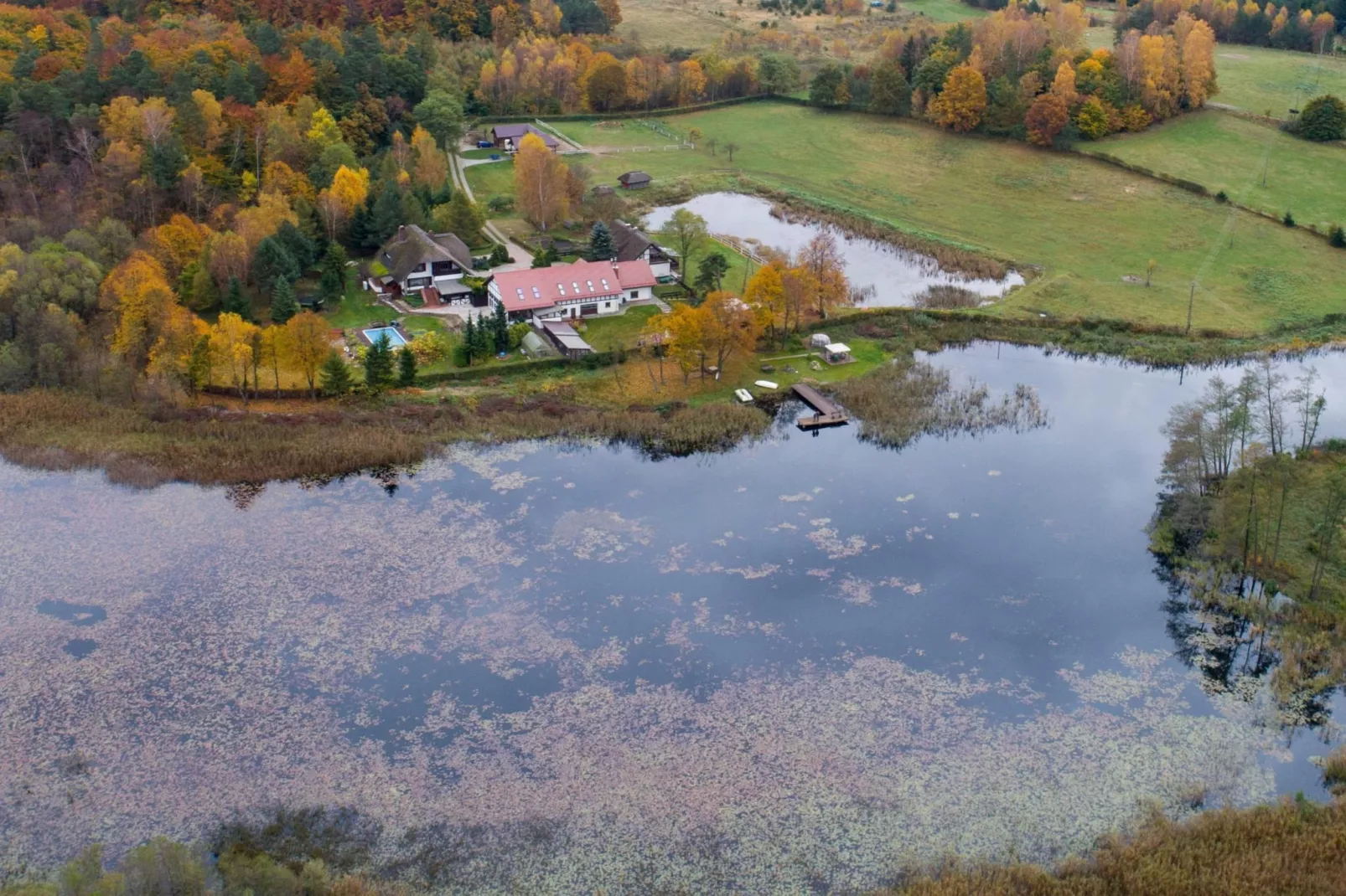 Apartments Rekowo 40 qm - View