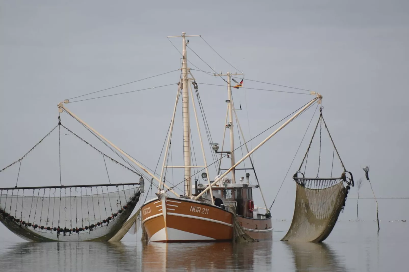 383519-Areas within 5km in summer