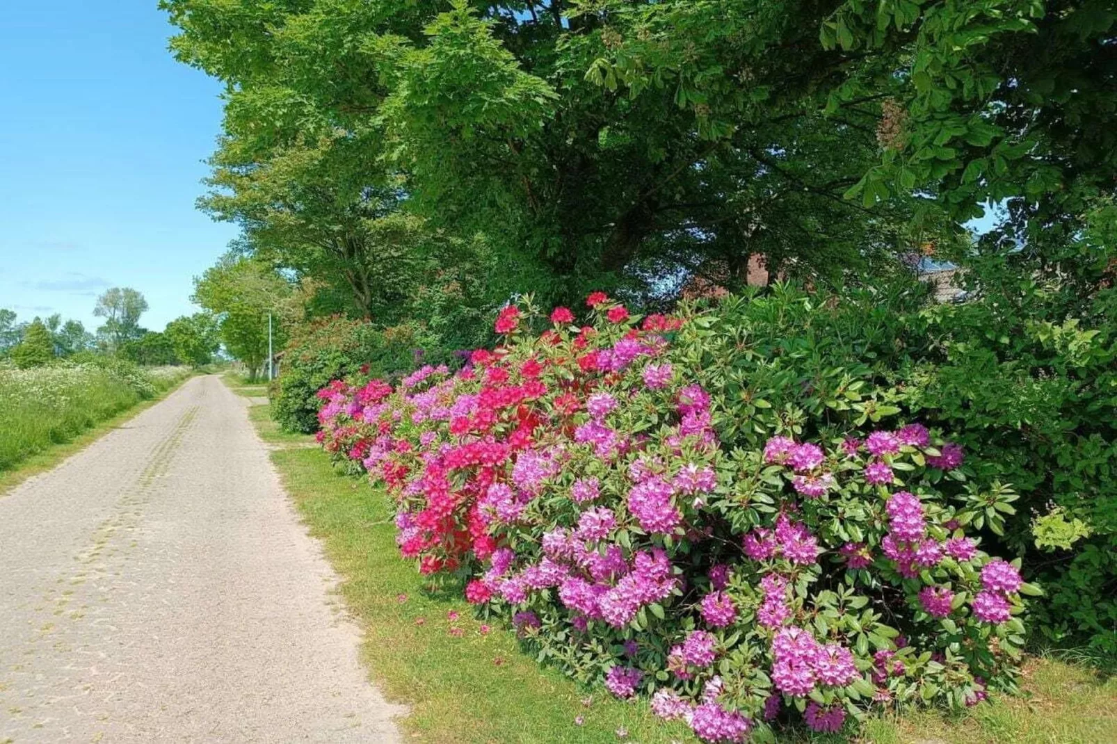 268431-Areas within 1km in summer