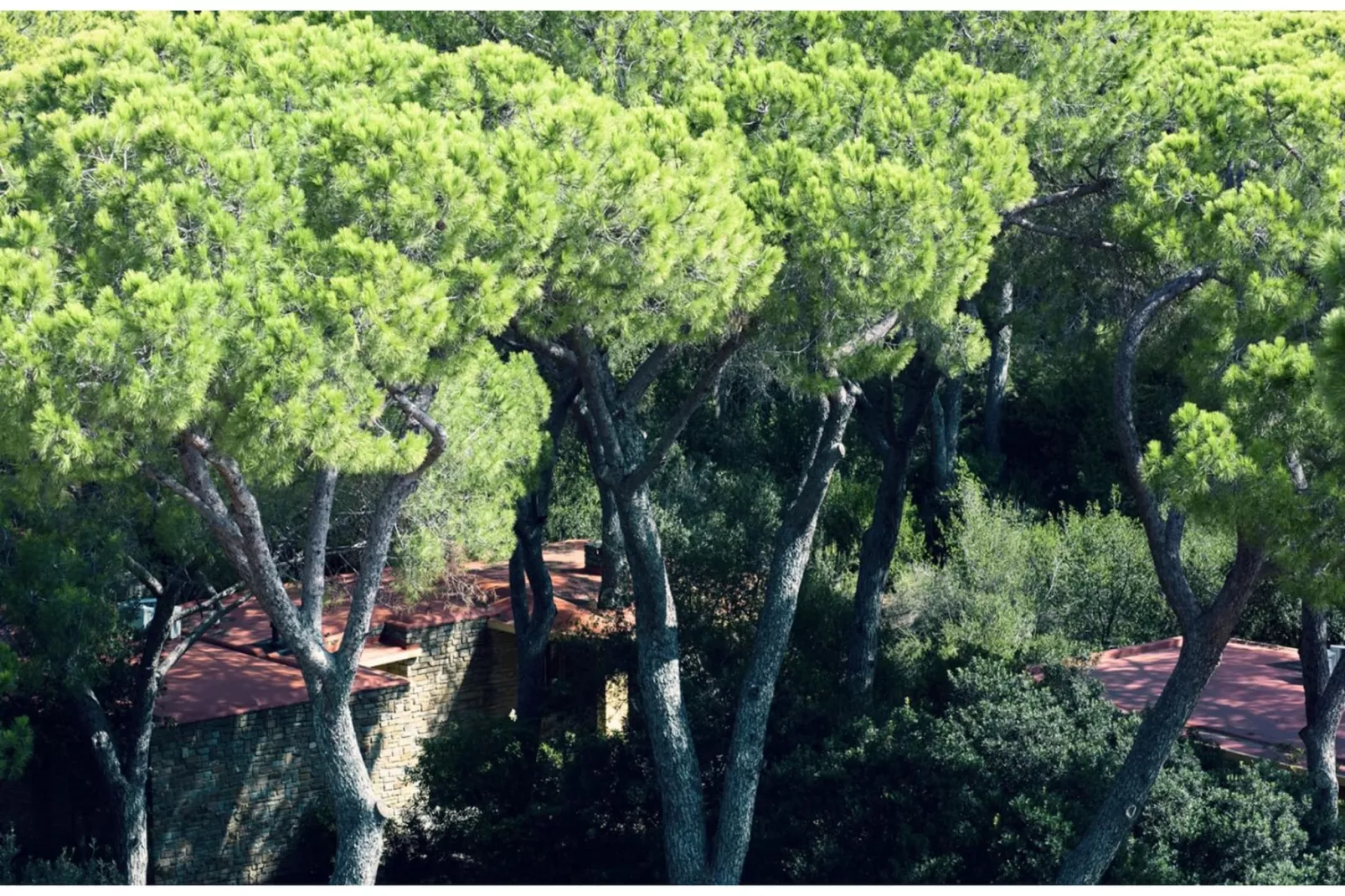 ROCCAMARE RESORT - Villa Media 4 Persone  sofa bed - 58-65mq - Gebiete Sommer 1 km