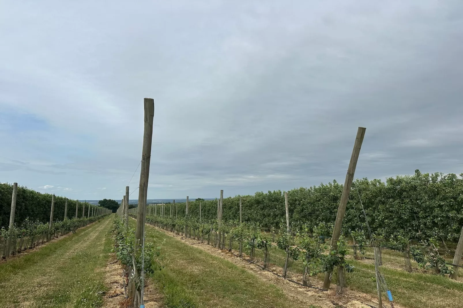 Val du Loire-Gebiete Sommer 1 km