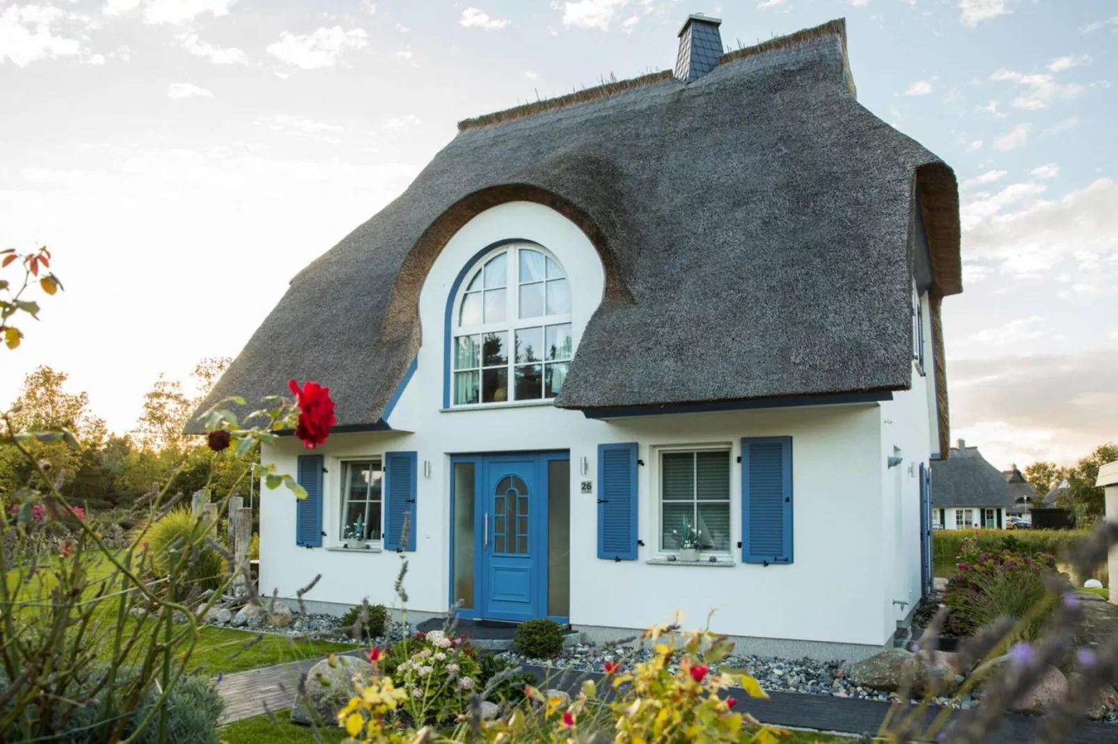 Schilfrohrsänger 18-Außenbereich Sommer