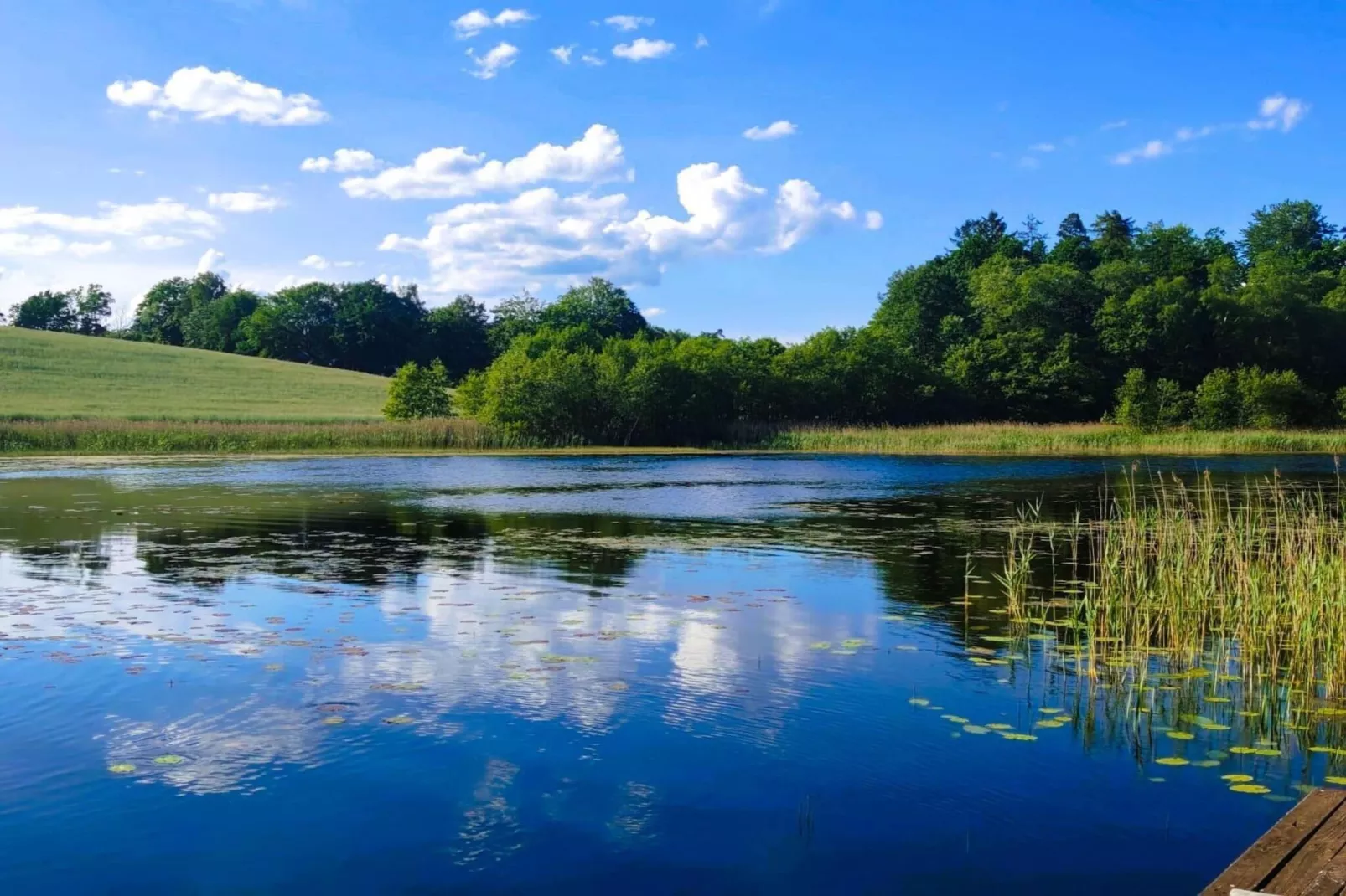 Apartments Rekowo 40 qm - View