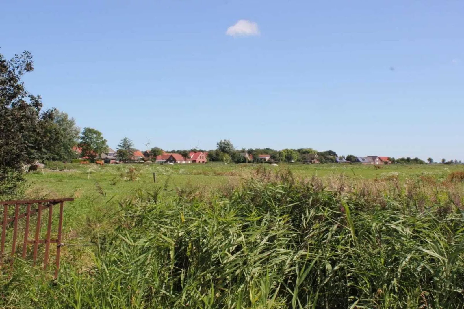 256072-Außenbereich Sommer