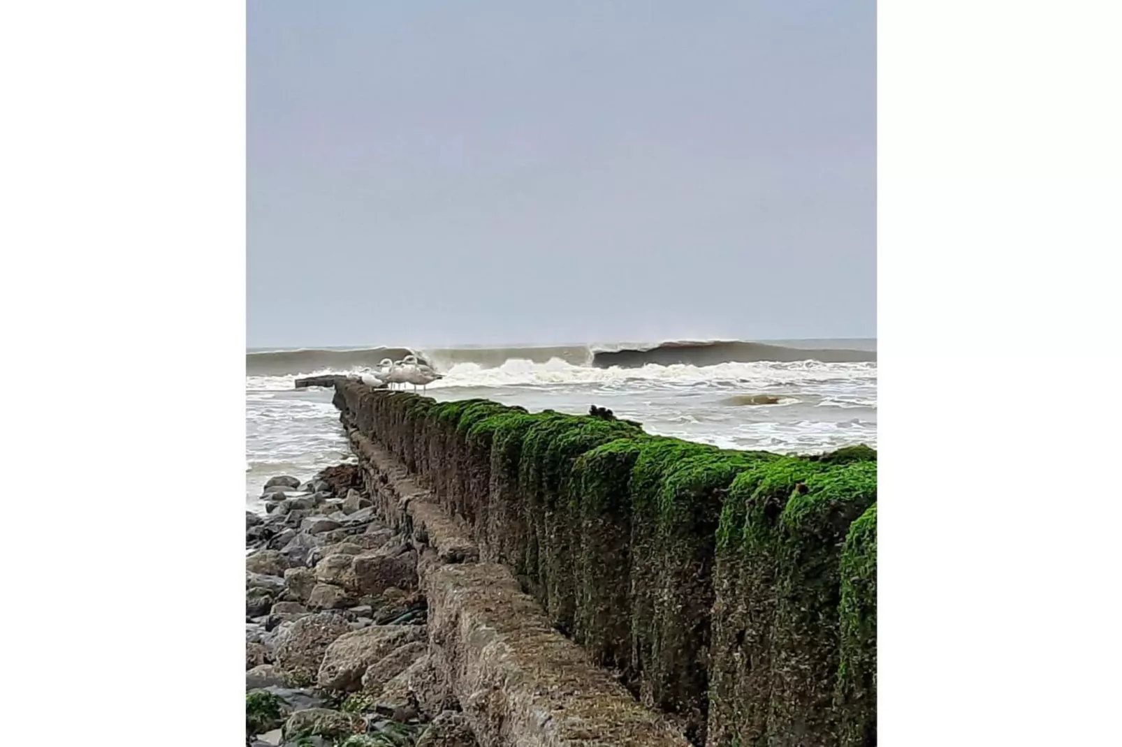 201689-Areas within 5km in summer