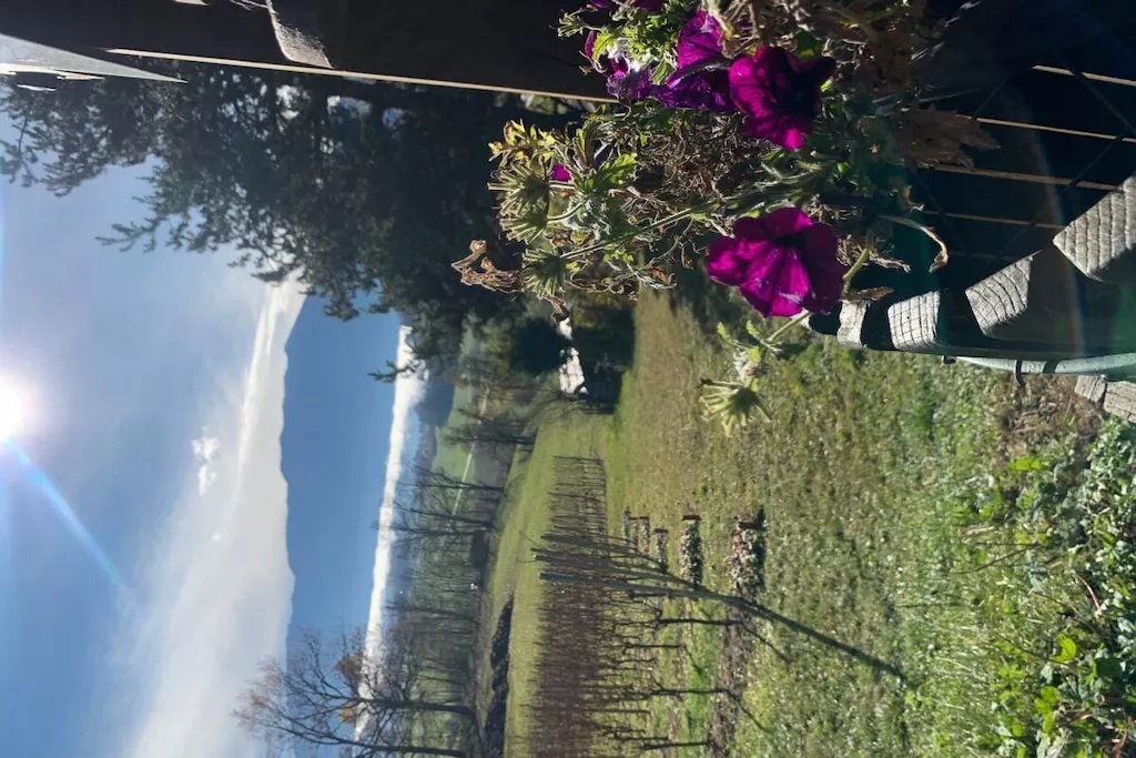 426460 - Nicht zugeordnet