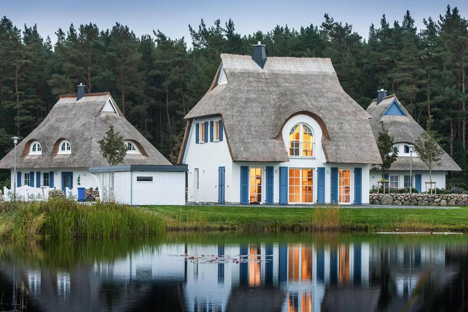 Schilfrohrsänger 18-Außenbereich Sommer