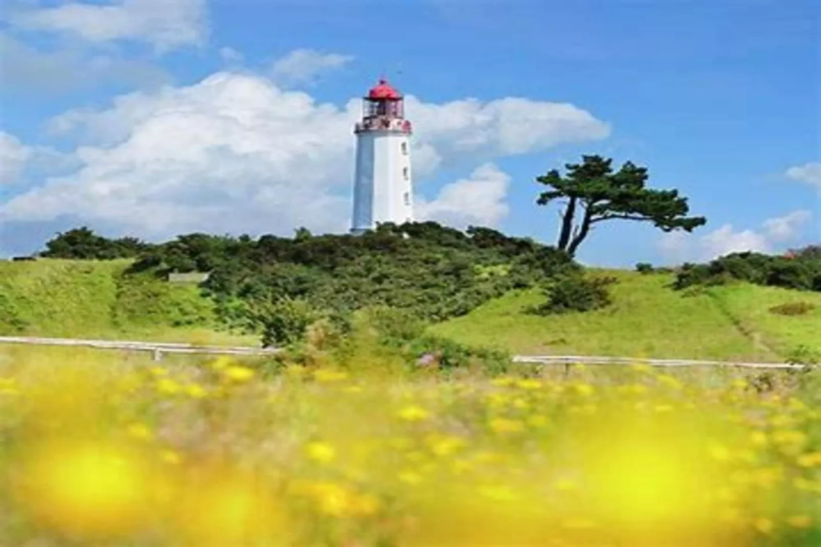 Post Hiddensee-Wohnung 18-Zones été à 5 km