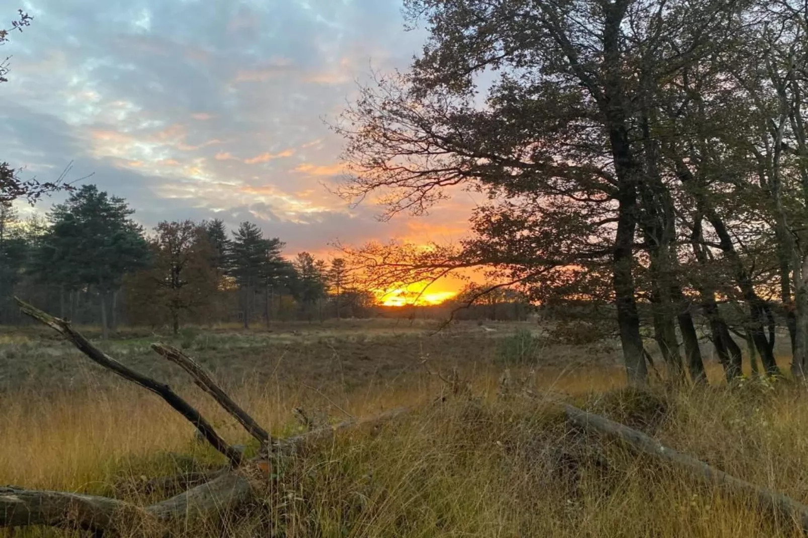 Vakantie bij Meeussen - Schuttersoord 1 - Zones été à 20 km