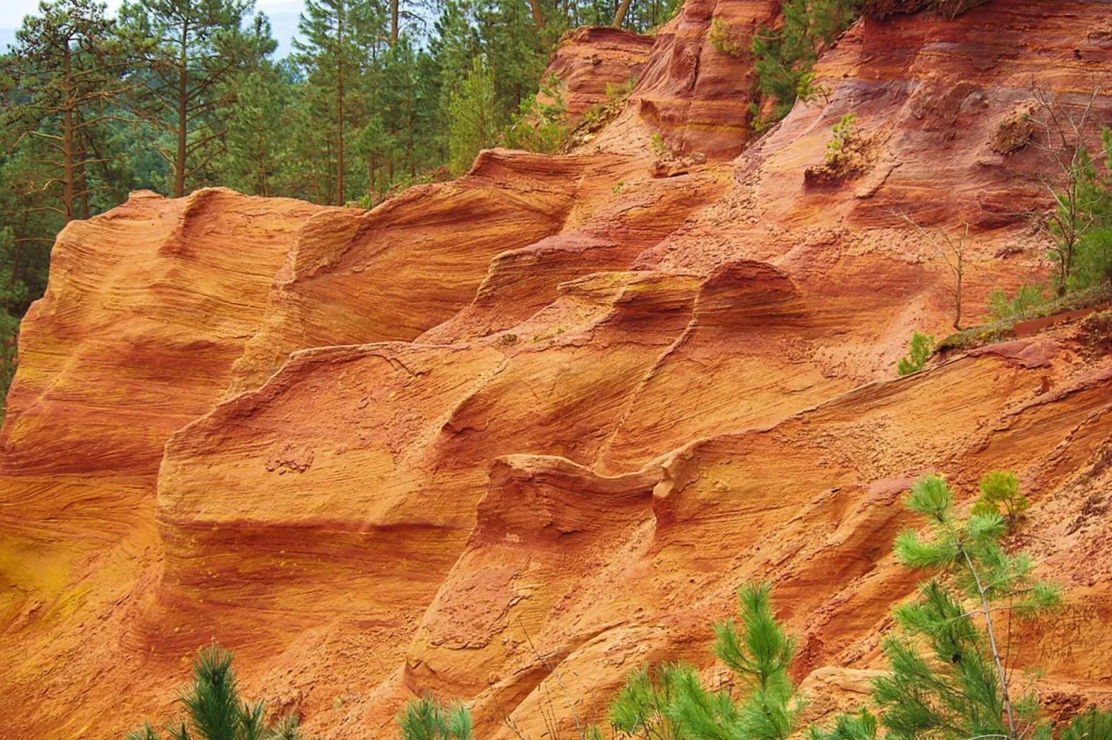 Ferienhaus in Ménerbes-Areas within 5km in summer
