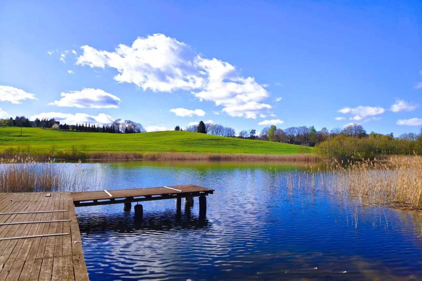 Apartments Rekowo 40 qm - View