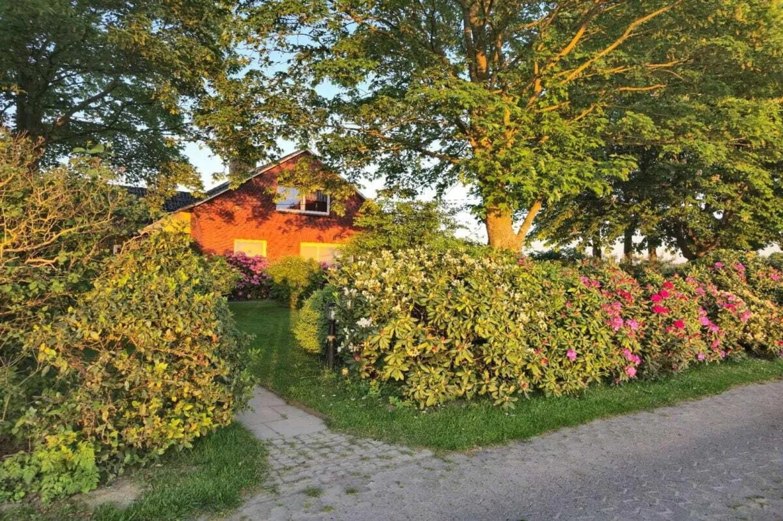 268431-Areas within 1km in summer