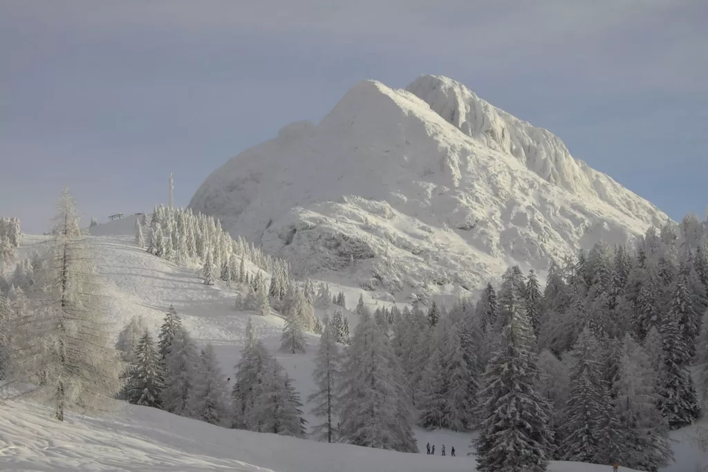 25794-Nicht zugeordnet