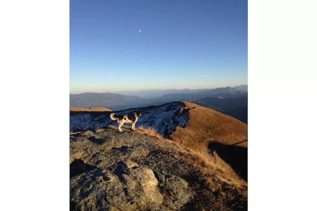 426460 - Nicht zugeordnet