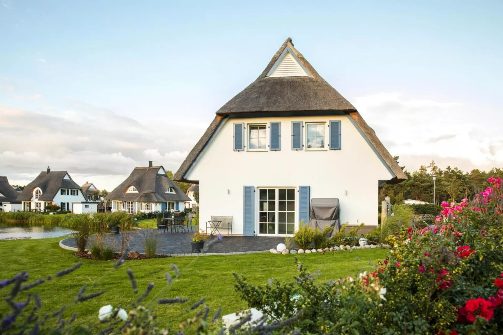 Schilfrohrsänger 18-Außenbereich Sommer