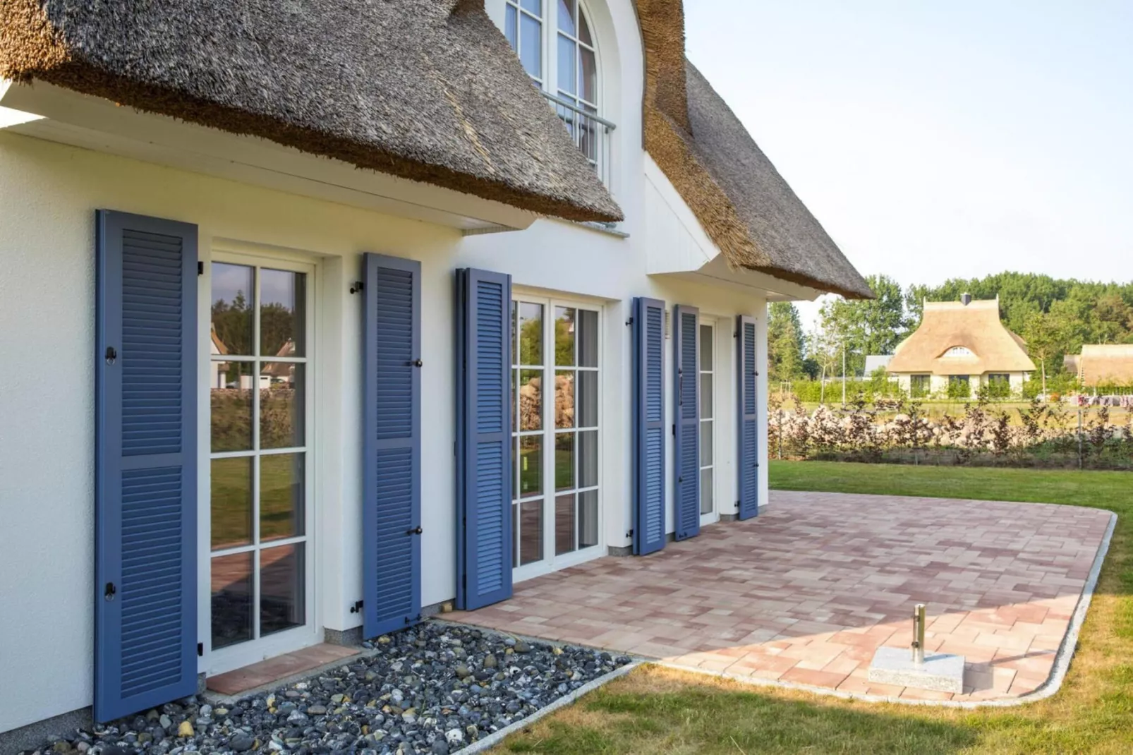 Schilfrohrsänger 43-Extérieur été