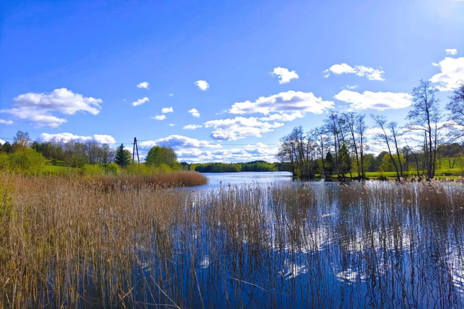 Apartments Rekowo 40 qm - View