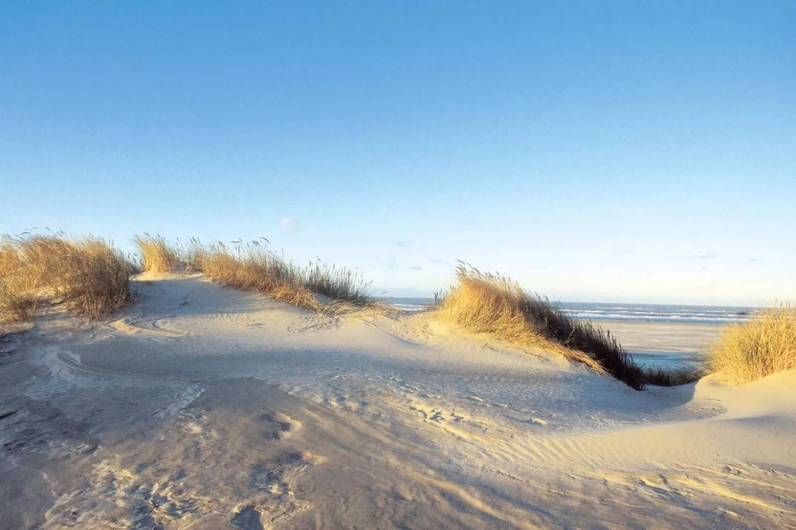 210744-Zones été à 5 km