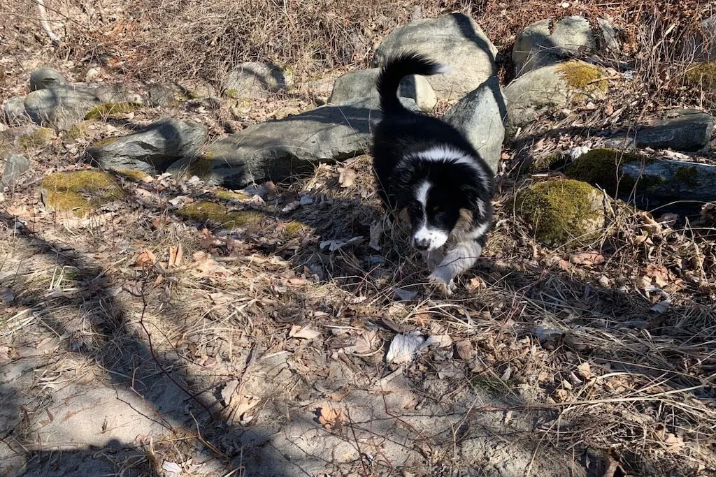 426460 - Nicht zugeordnet