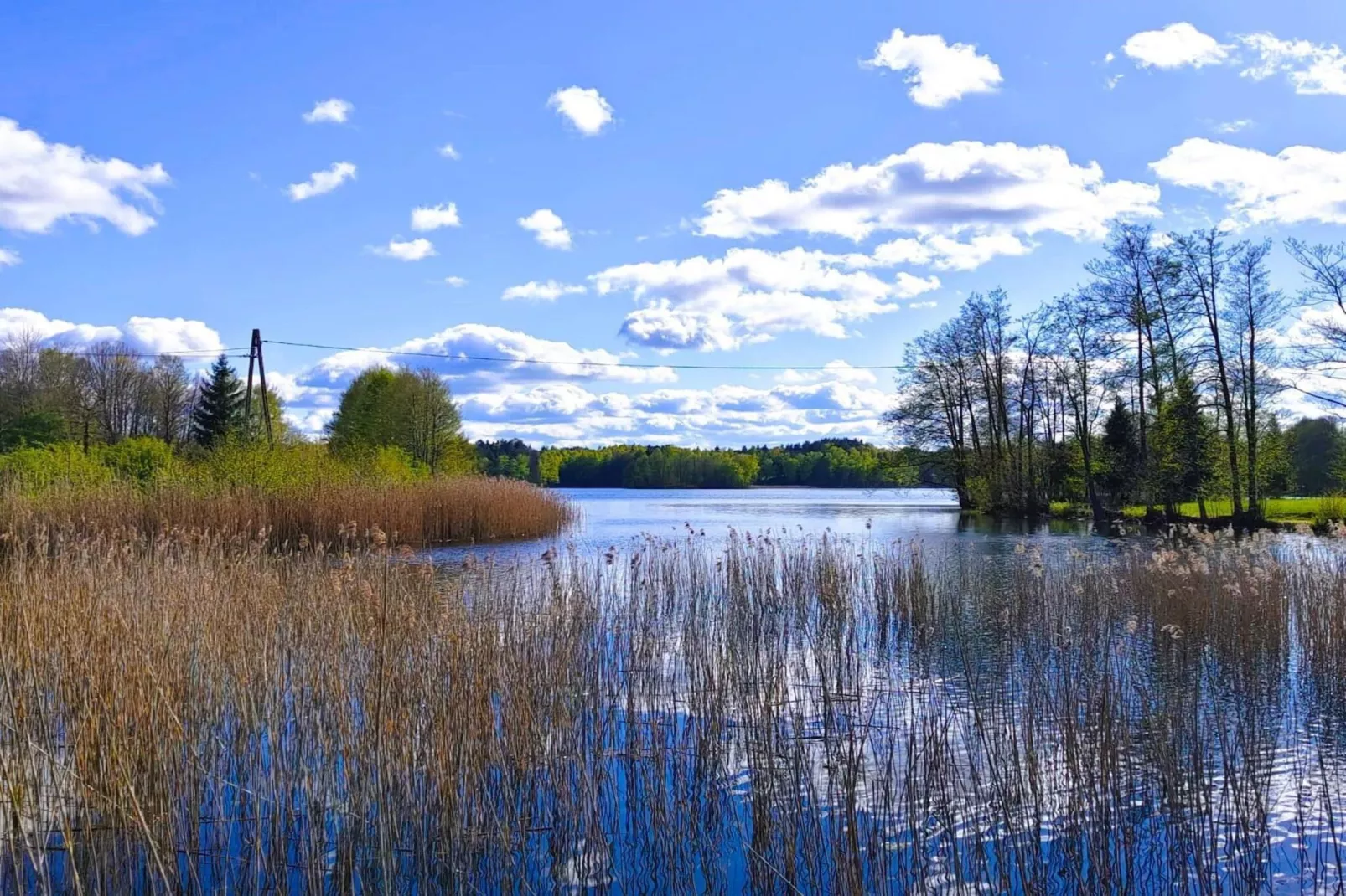 Apartments Rekowo 40 qm - View