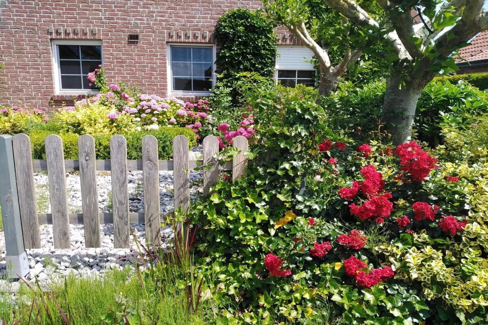 509295-Gardens in summer