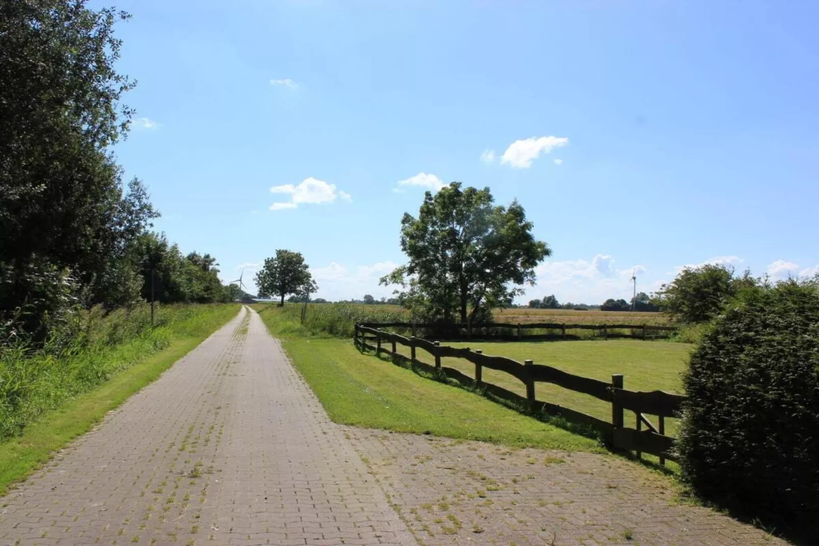 244343-Garten Sommer