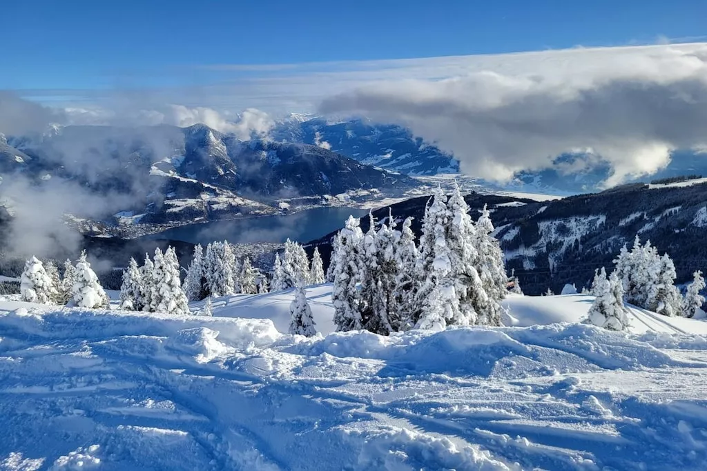 751329 - Nicht zugeordnet