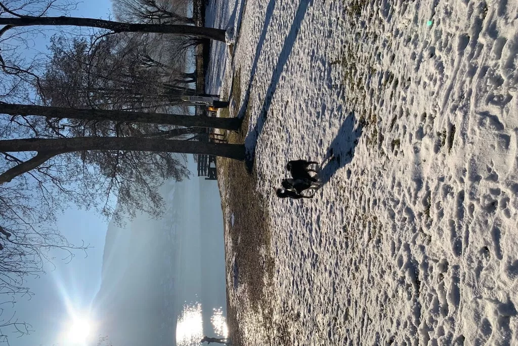 426460 - Nicht zugeordnet