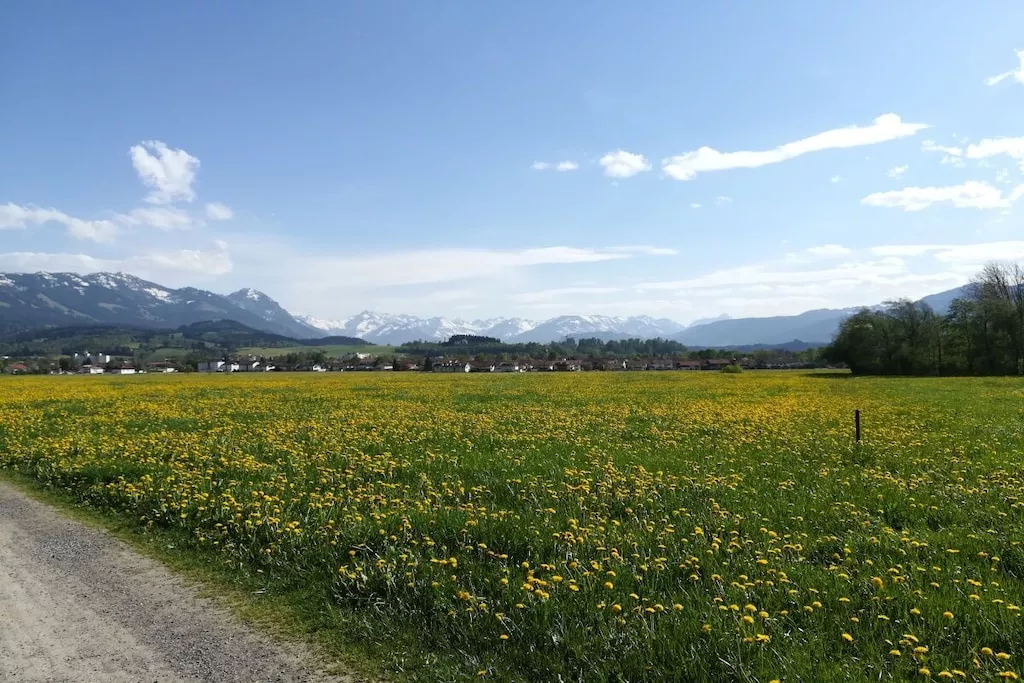 15559 - Nicht zugeordnet