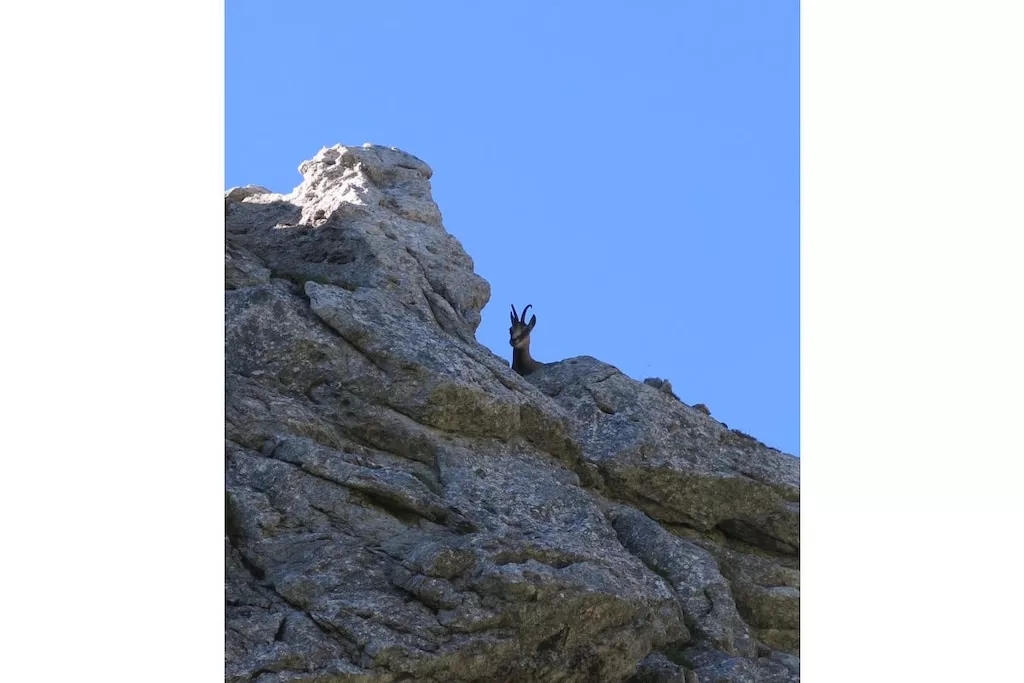 50664 - Nicht zugeordnet