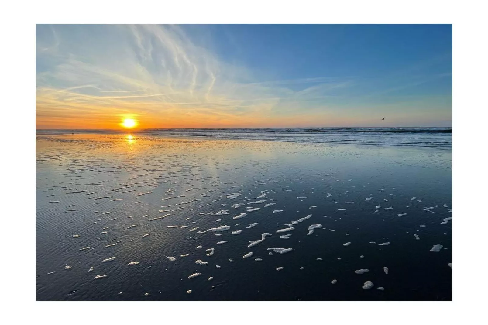 55136-Gebiete Sommer 5 km