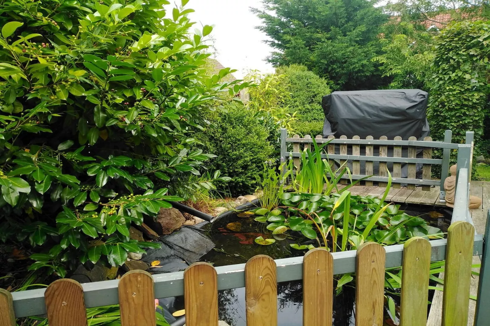 509295-Gardens in summer